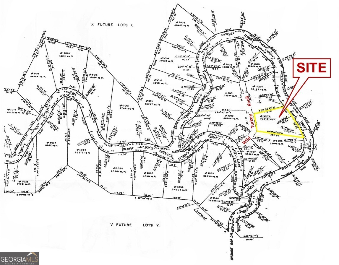 3005 Wild Turkey Knoll Property Photo 2