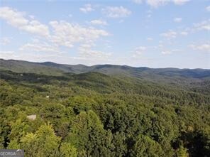 3005 Wild Turkey Knoll Property Photo 3