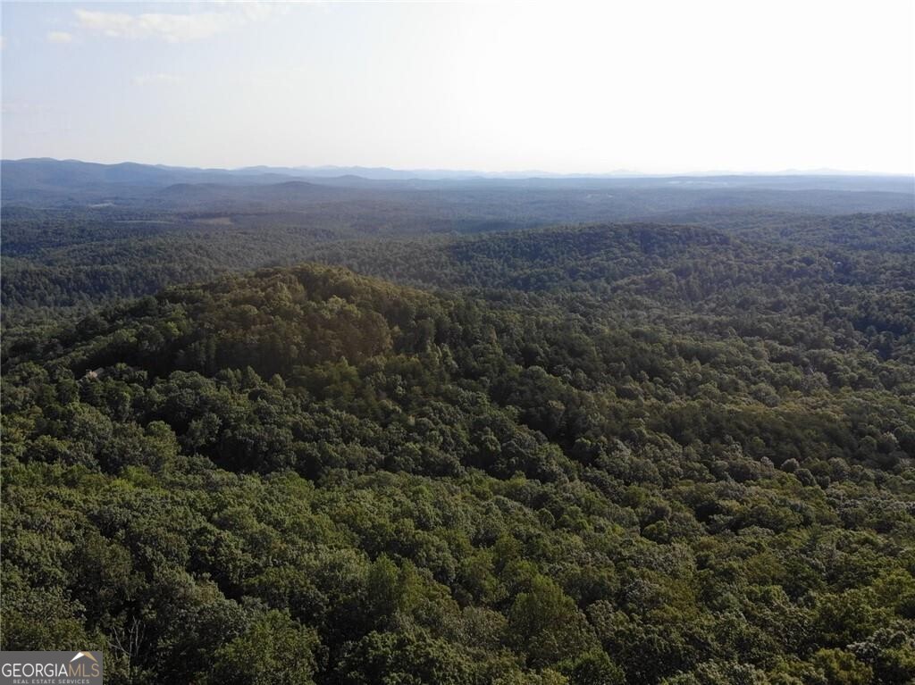 3005 Wild Turkey Knoll Property Photo 4