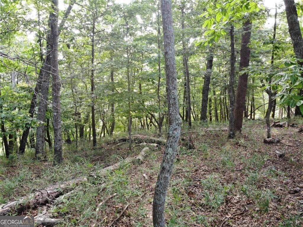 3005 Wild Turkey Knoll Property Photo 6