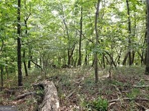 3005 Wild Turkey Knoll Property Photo 7