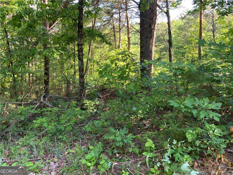 1335 Birch Lane Property Photo 2