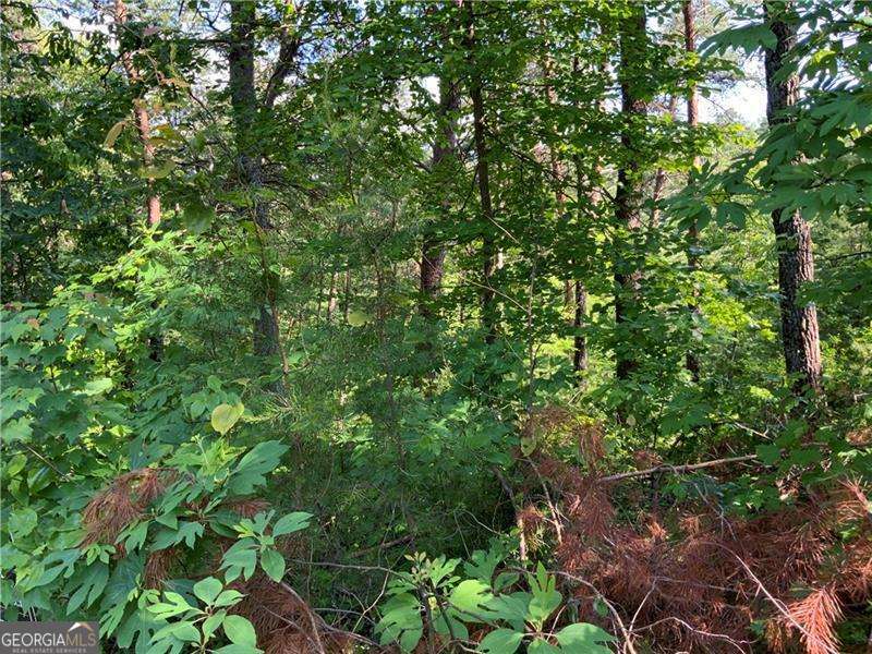 1335 Birch Lane Property Photo 3