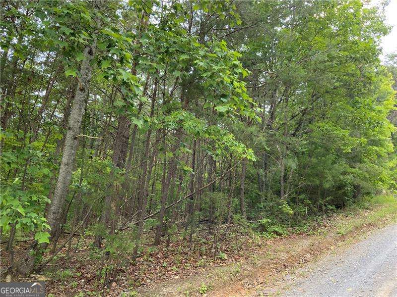 1335 Birch Lane Property Photo 4