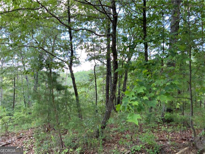 1335 Birch Lane Property Photo 5