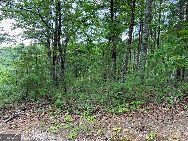 1335 Birch Lane Property Photo 8