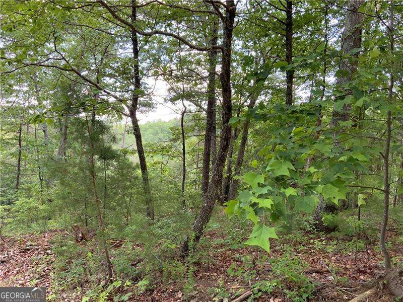 1335 Birch Lane Property Photo 9