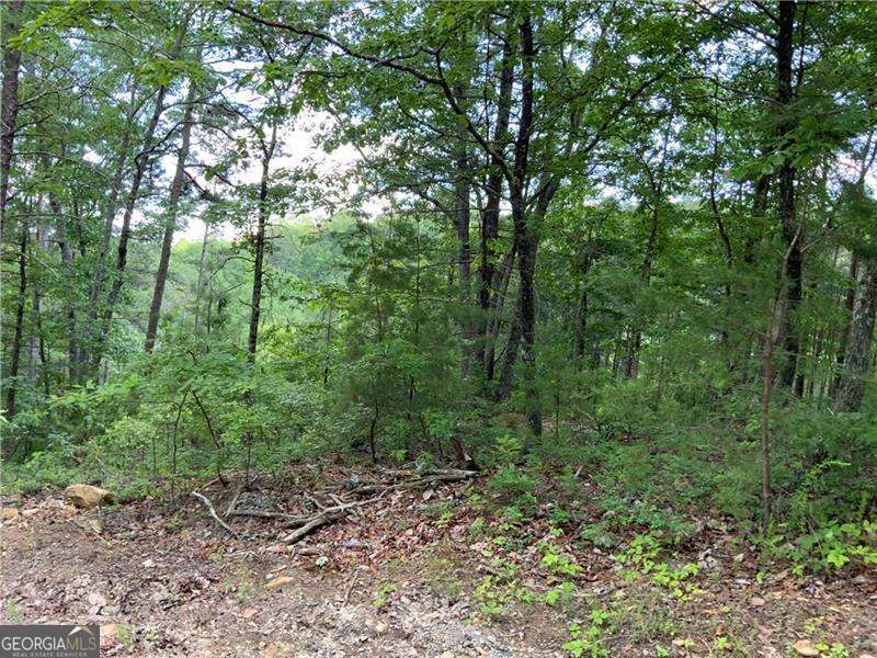 1335 Birch Lane Property Photo 10