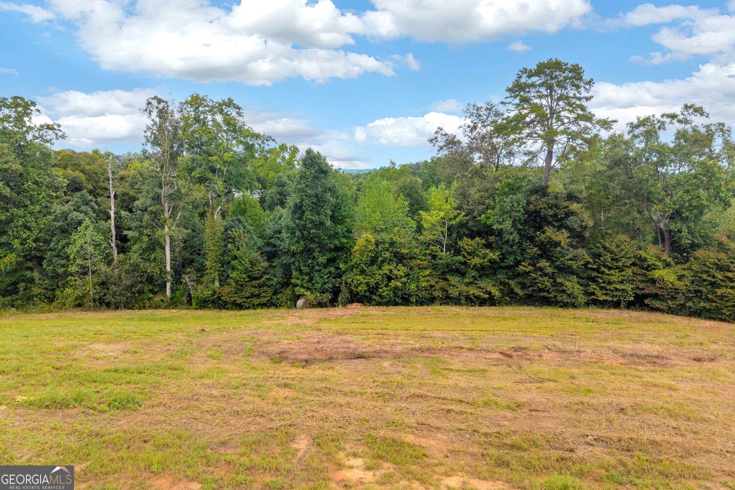 653 Racetrack Road Property Photo 6