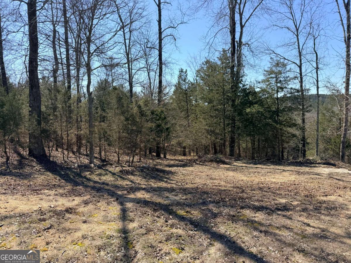 4012 Paulette Drive Property Photo 1