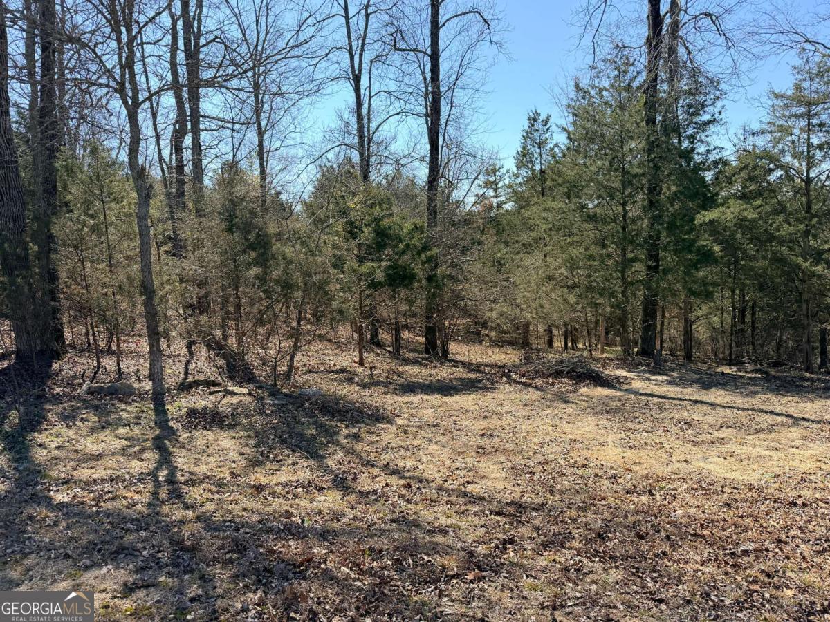 4012 Paulette Drive Property Photo 2