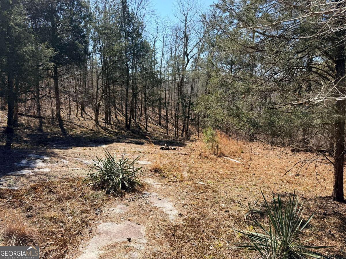 4012 Paulette Drive Property Photo 3