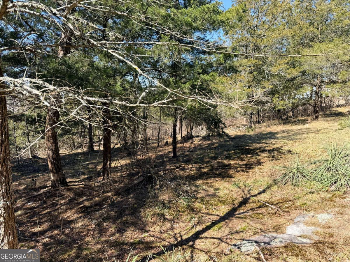 4012 Paulette Drive Property Photo 7