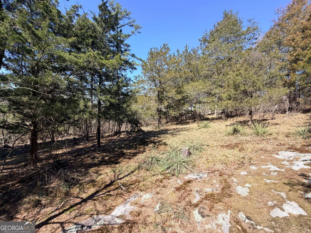 4012 Paulette Drive Property Photo 10