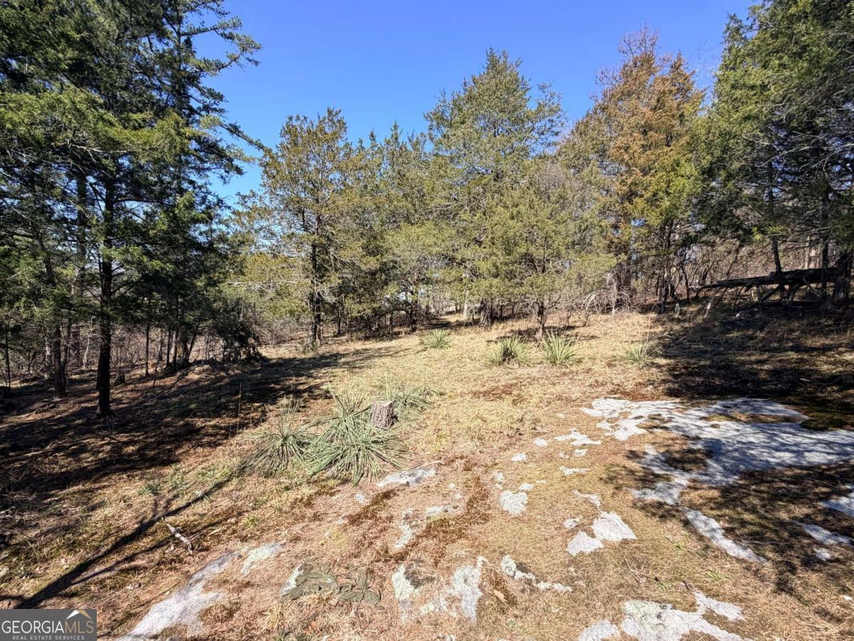4012 Paulette Drive Property Photo 11