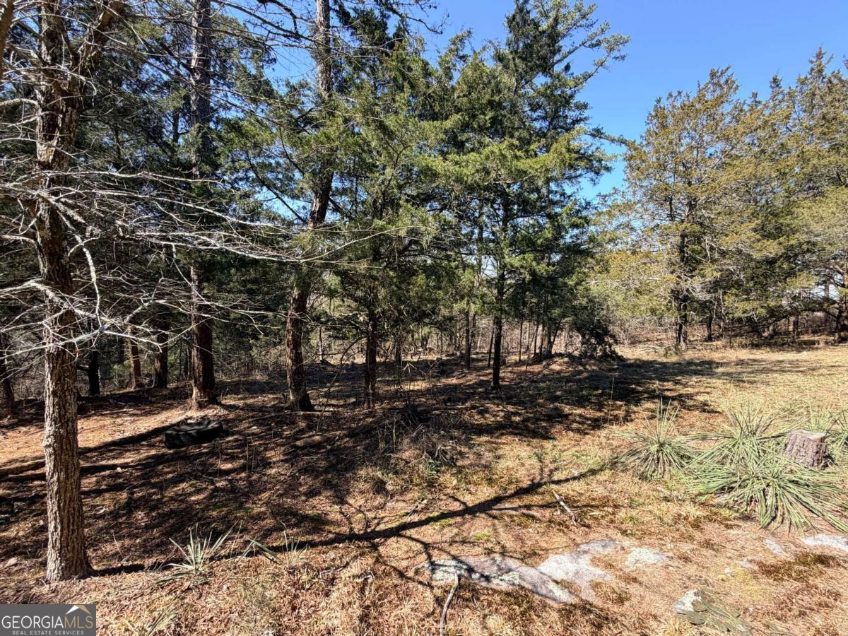 4012 Paulette Drive Property Photo 12