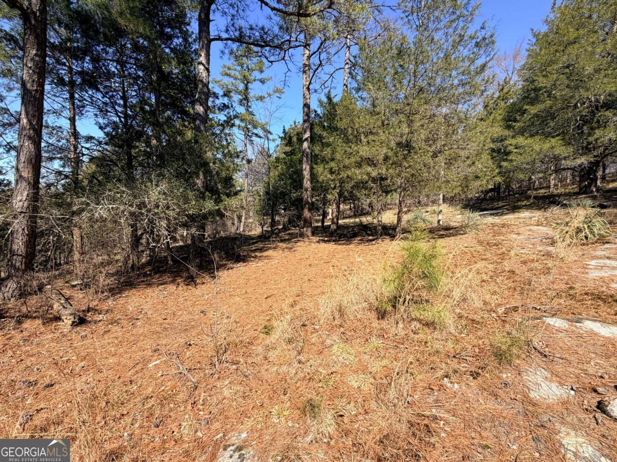 4012 Paulette Drive Property Photo 13