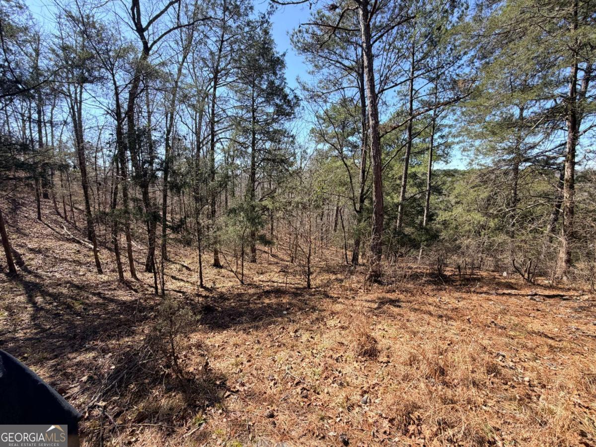 4012 Paulette Drive Property Photo 14