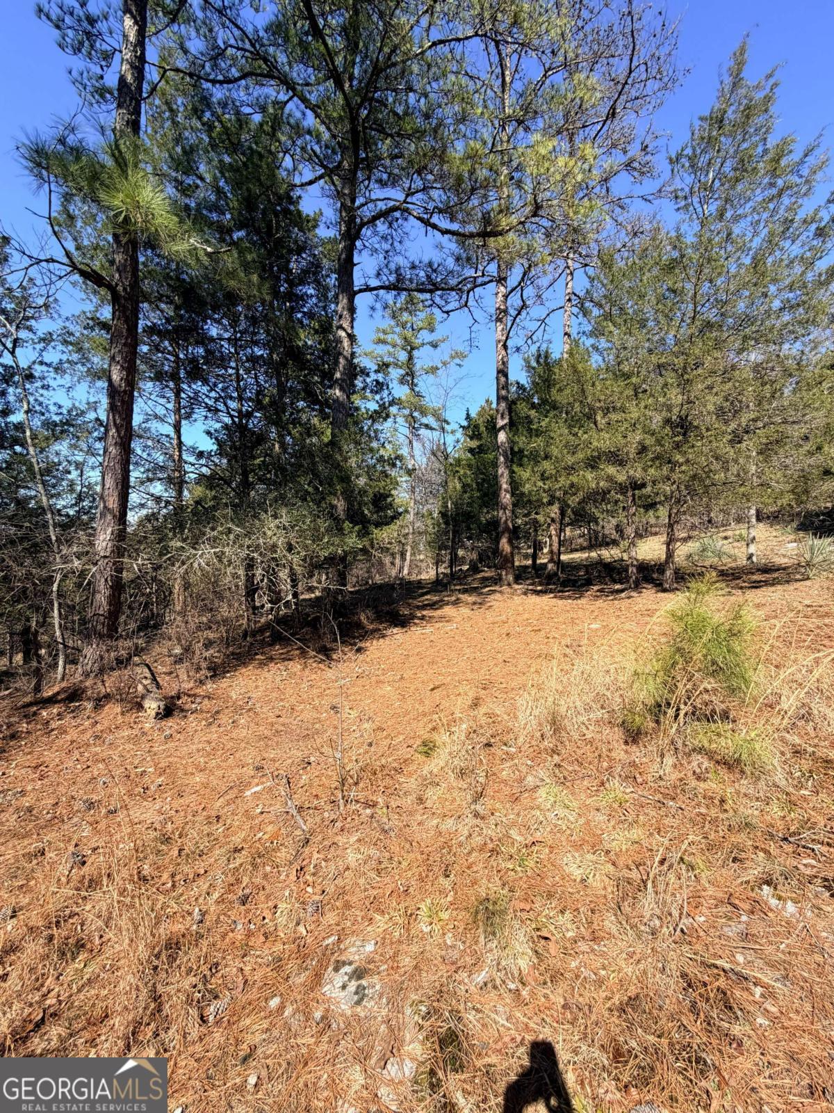 4012 Paulette Drive Property Photo 15