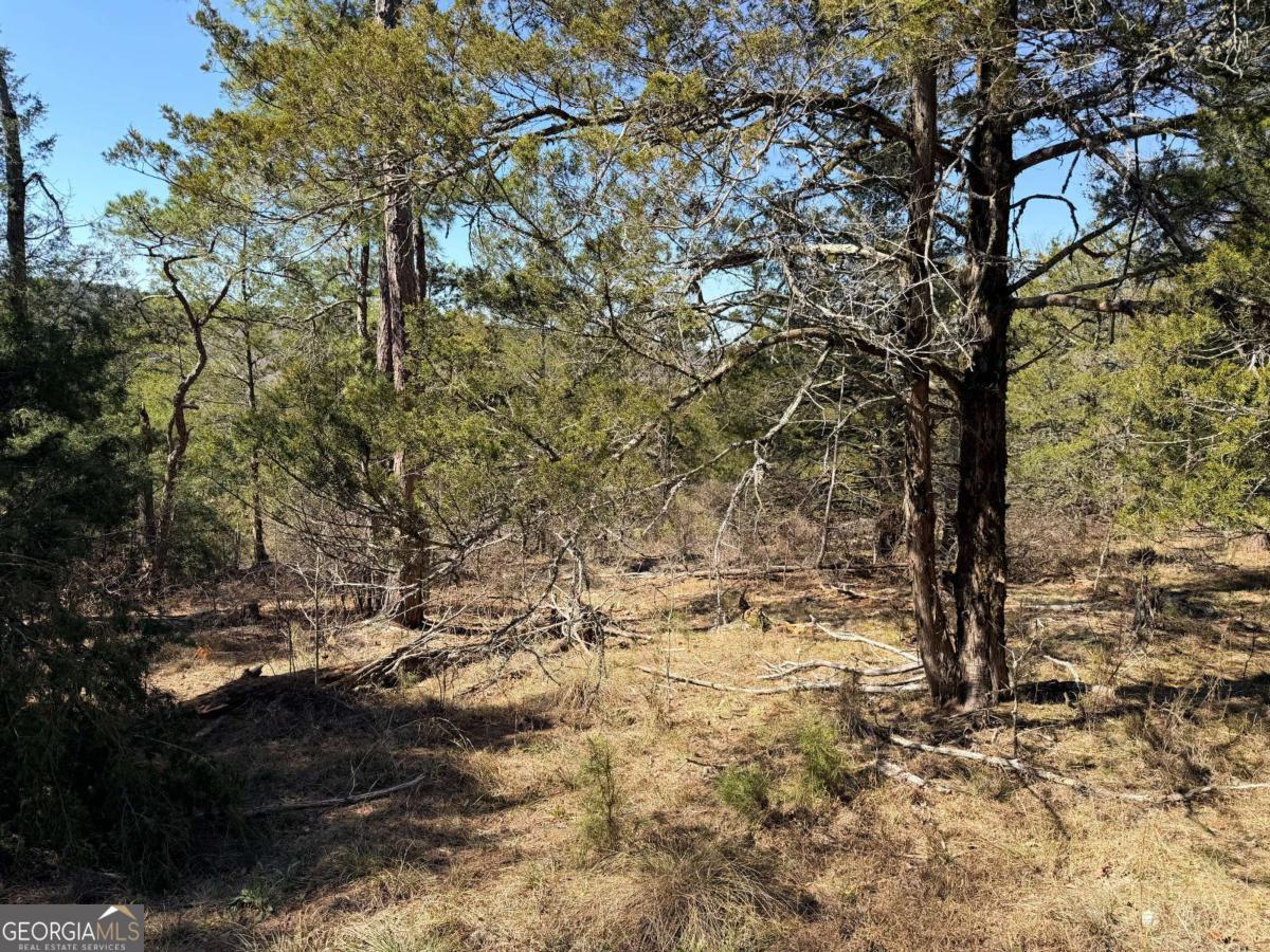 4012 Paulette Drive Property Photo 16