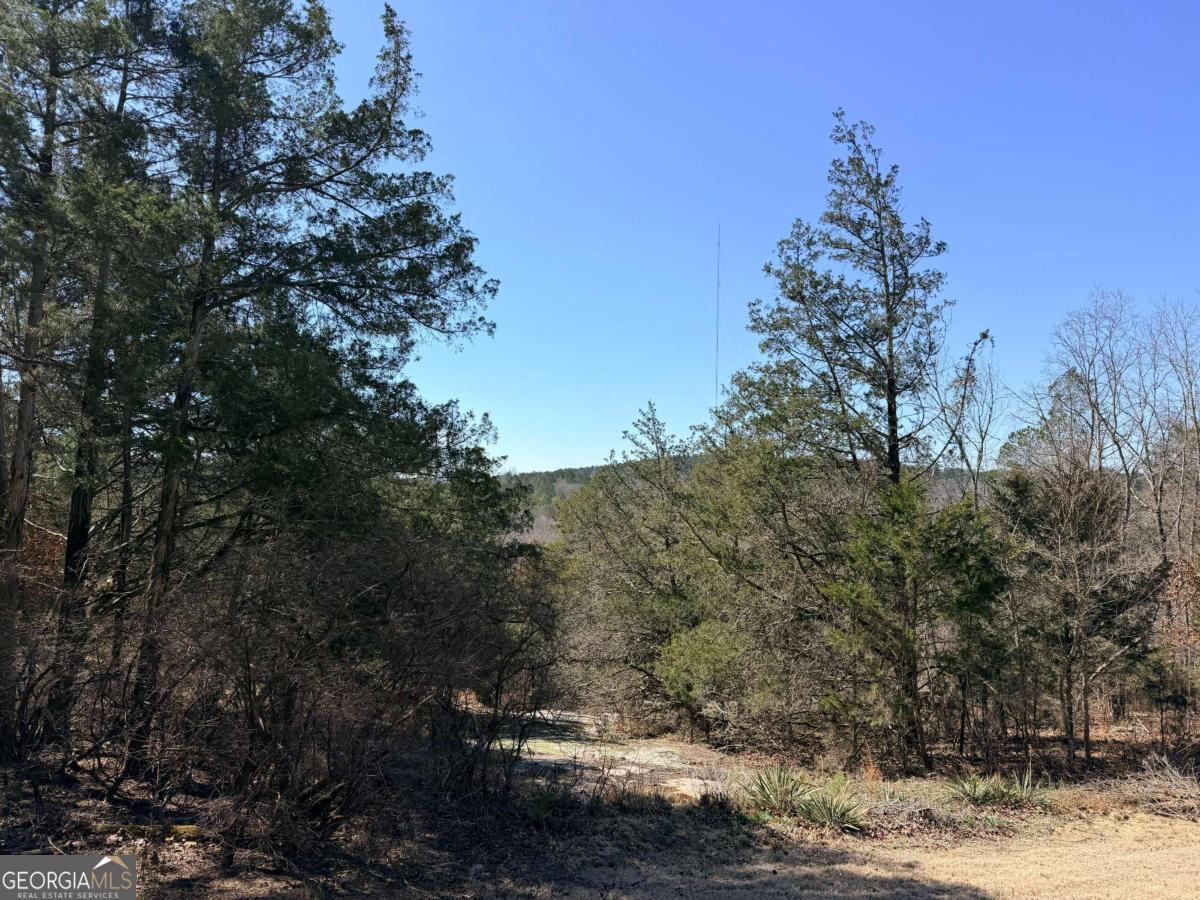 4012 Paulette Drive Property Photo 17