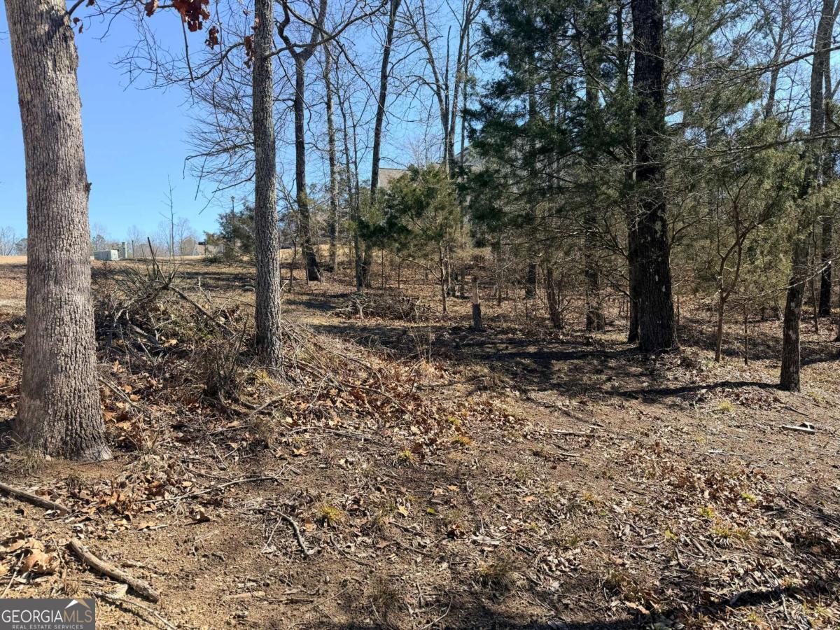 4012 Paulette Drive Property Photo 18