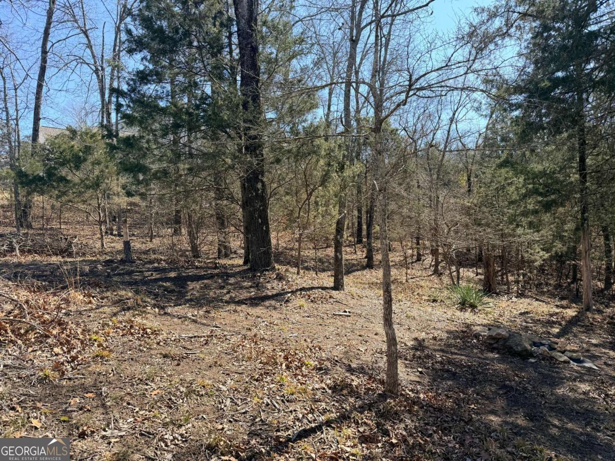 4012 Paulette Drive Property Photo 19