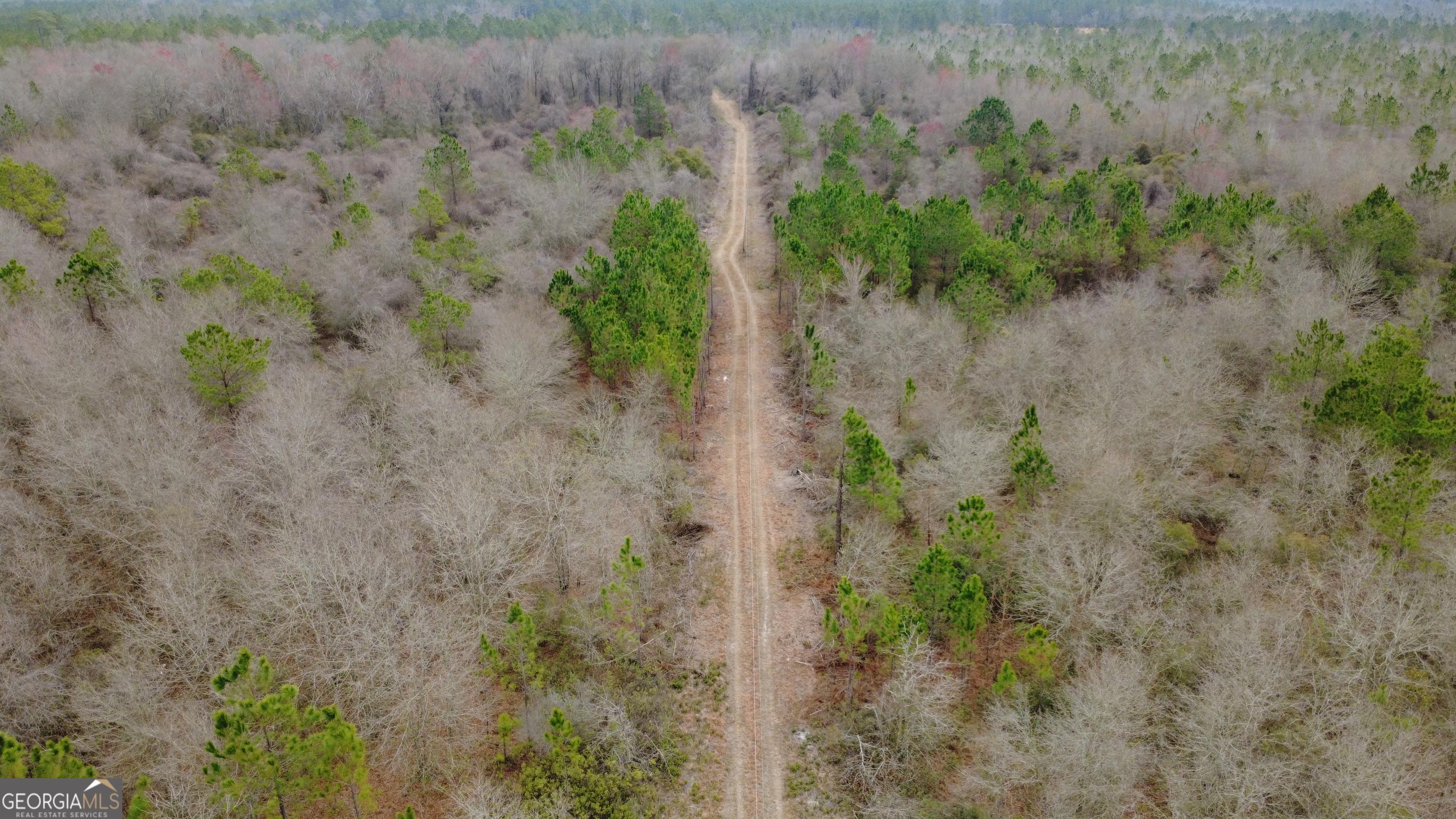 0 Whitaker Property Photo 1