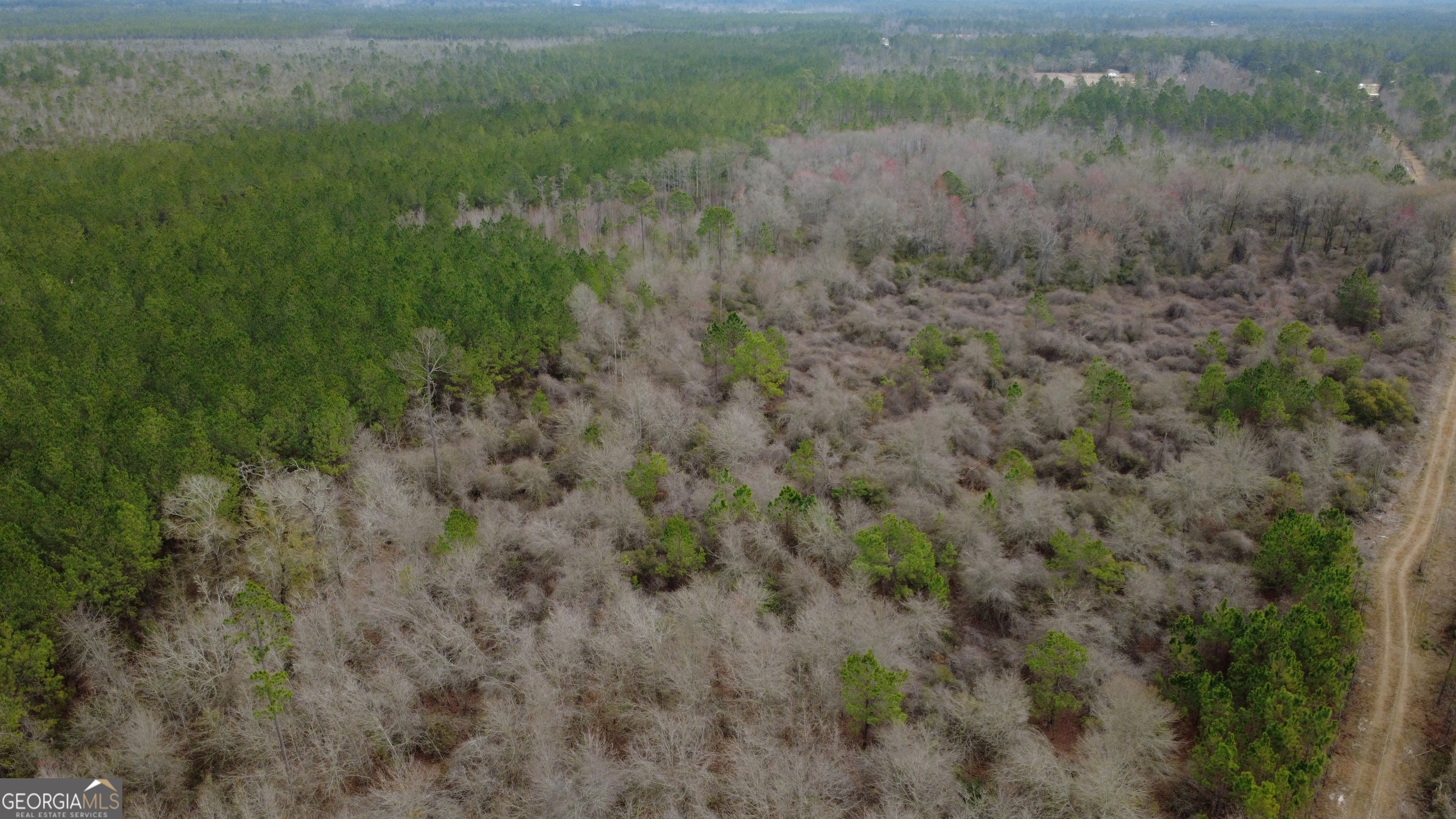 0 Whitaker Property Photo 2