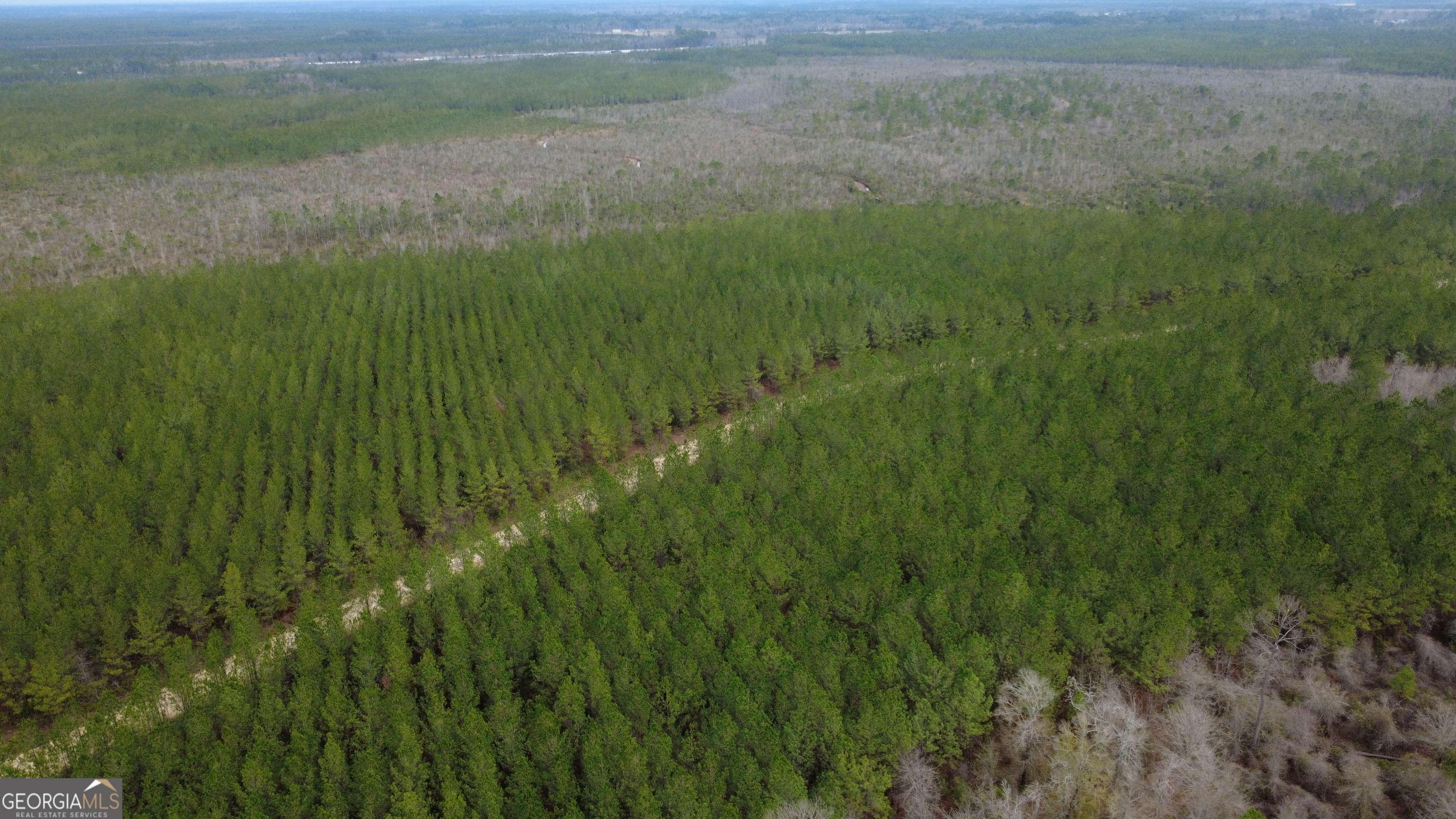 0 Whitaker Property Photo 3