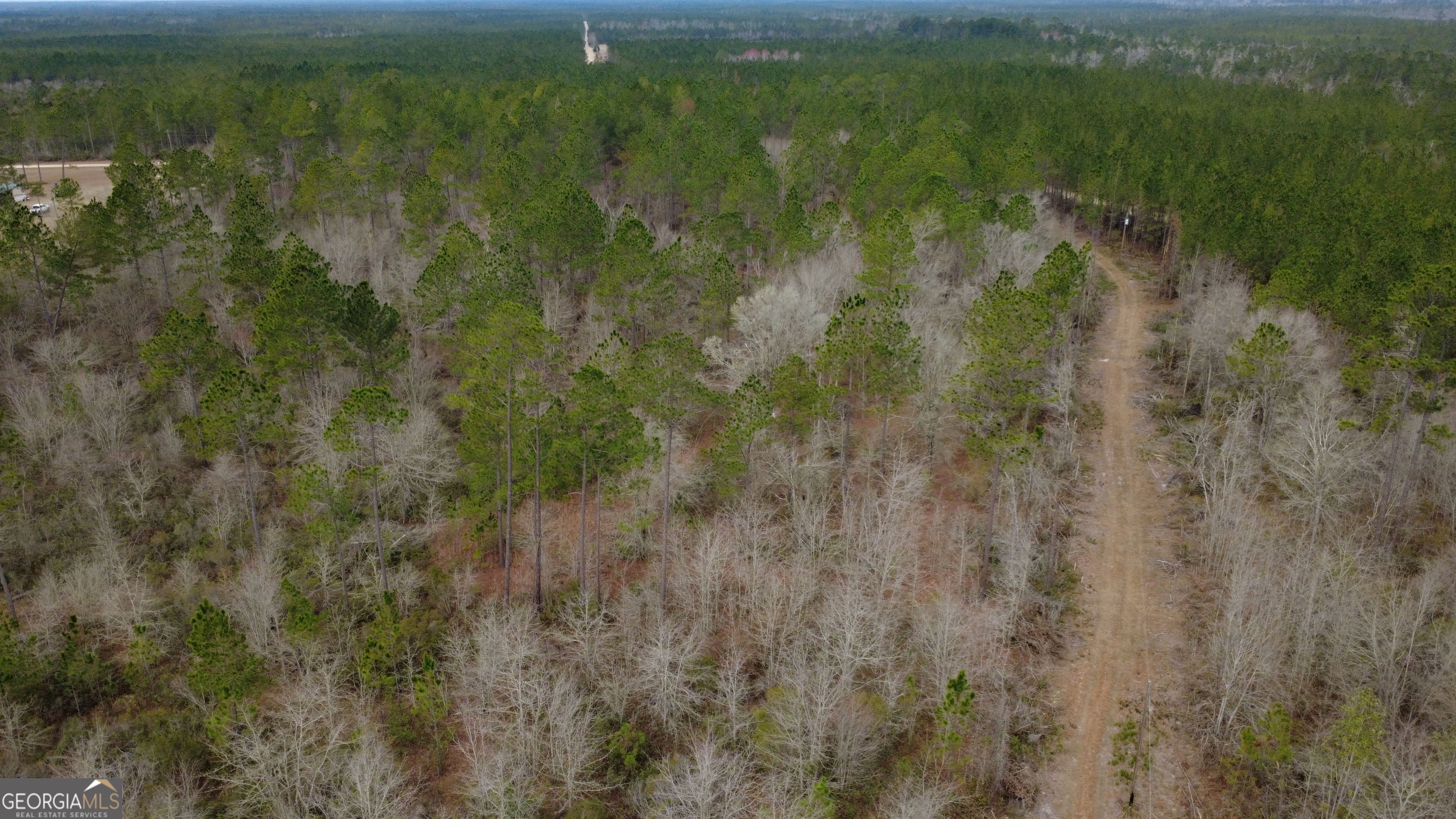 0 Whitaker Property Photo 6