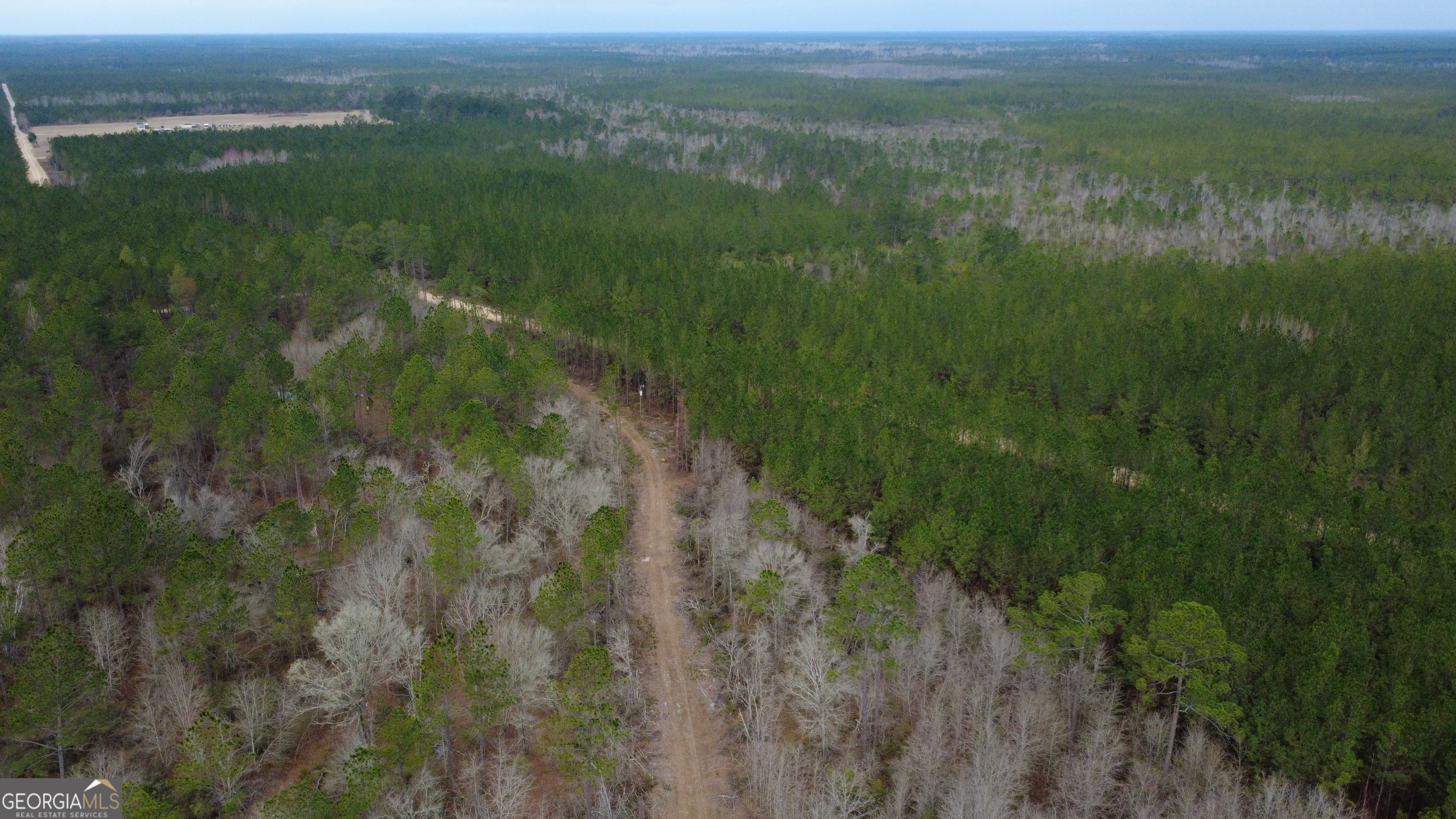 0 Whitaker Property Photo 7