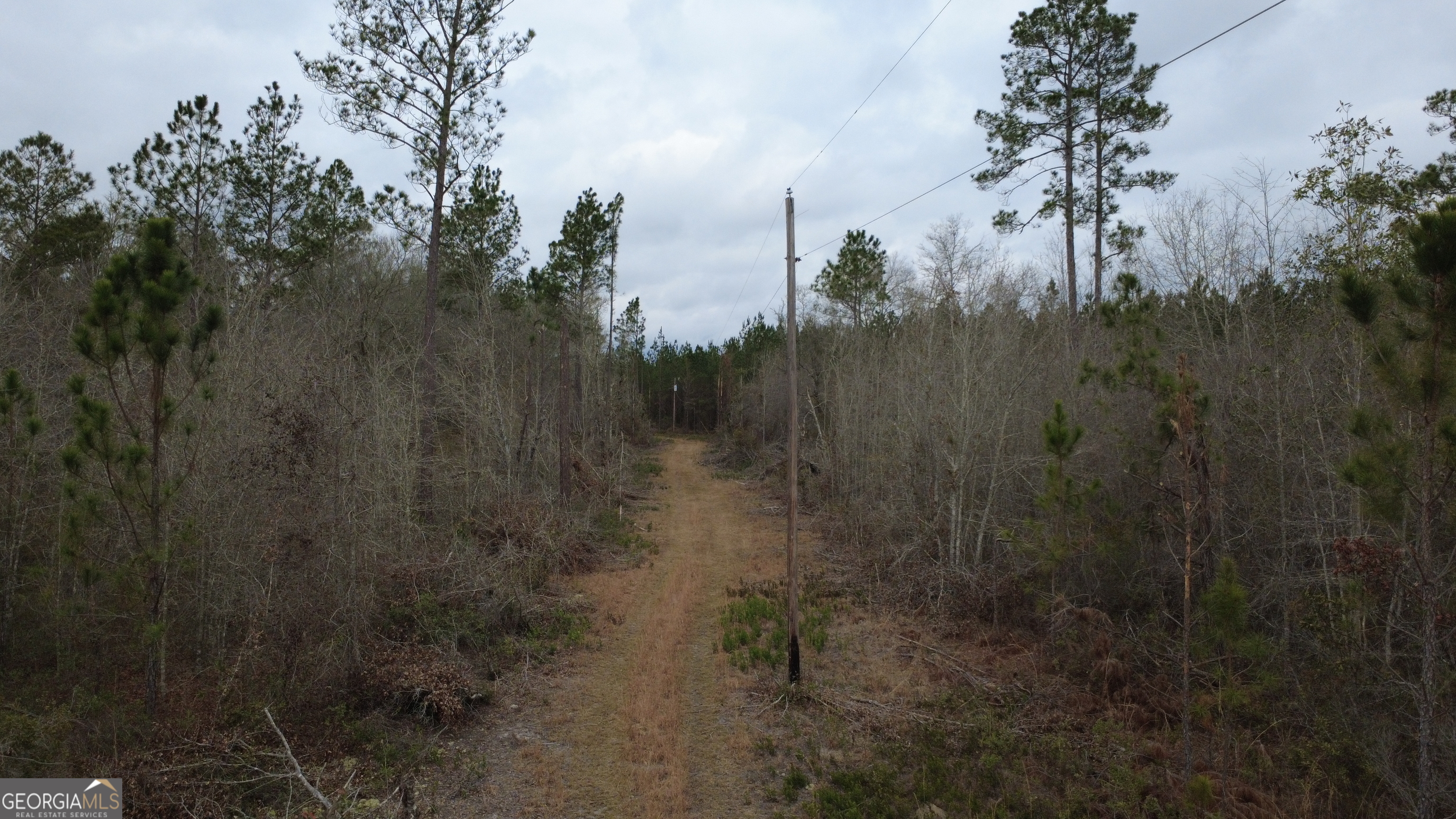 0 Whitaker Property Photo 8