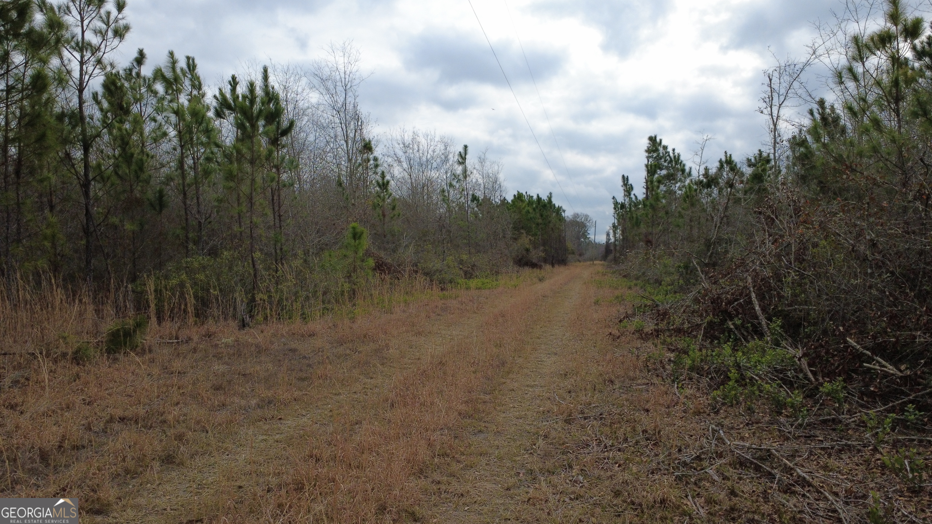 0 Whitaker Property Photo 9