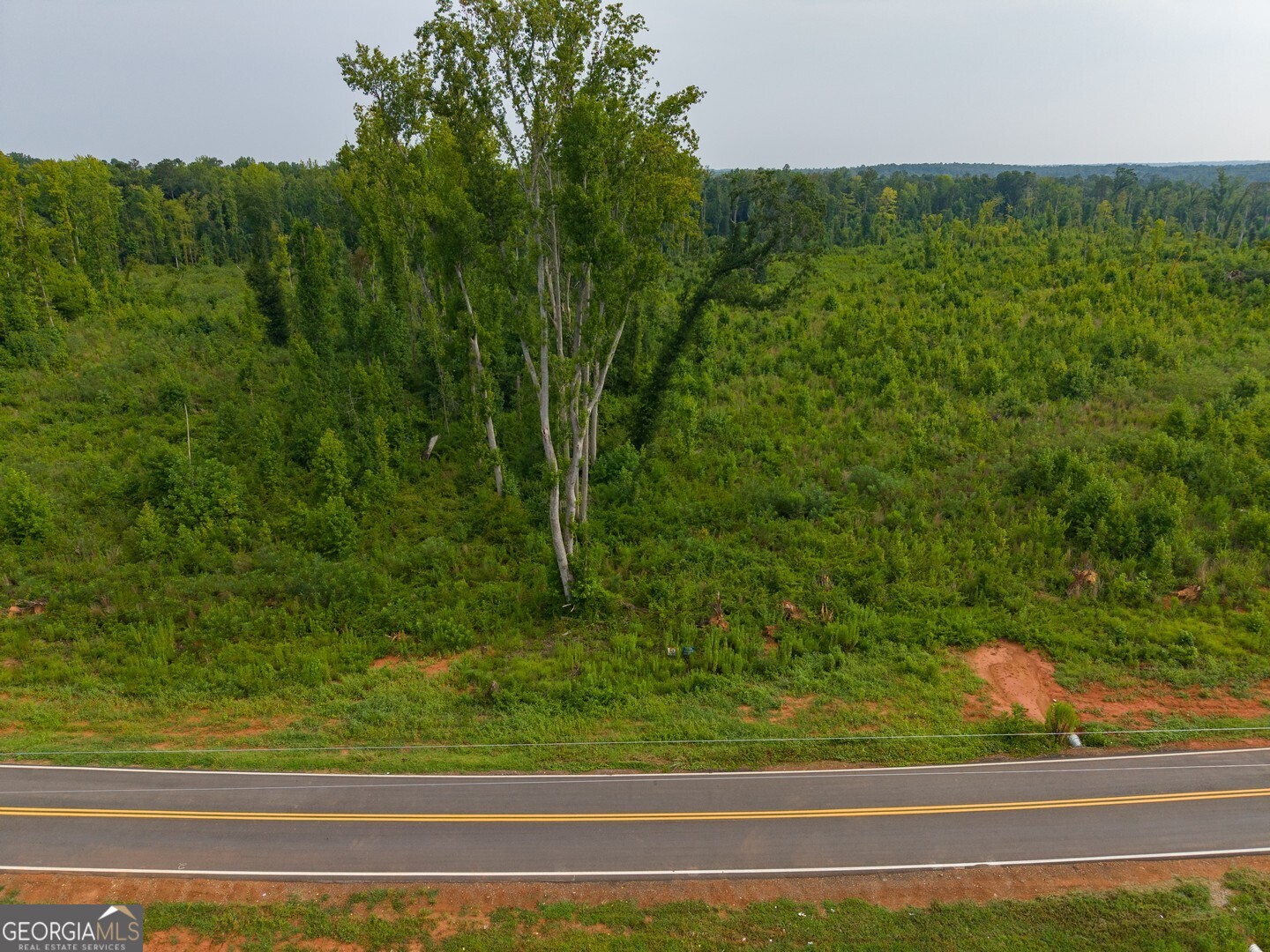 Lot 1 Haley Road Property Photo 2