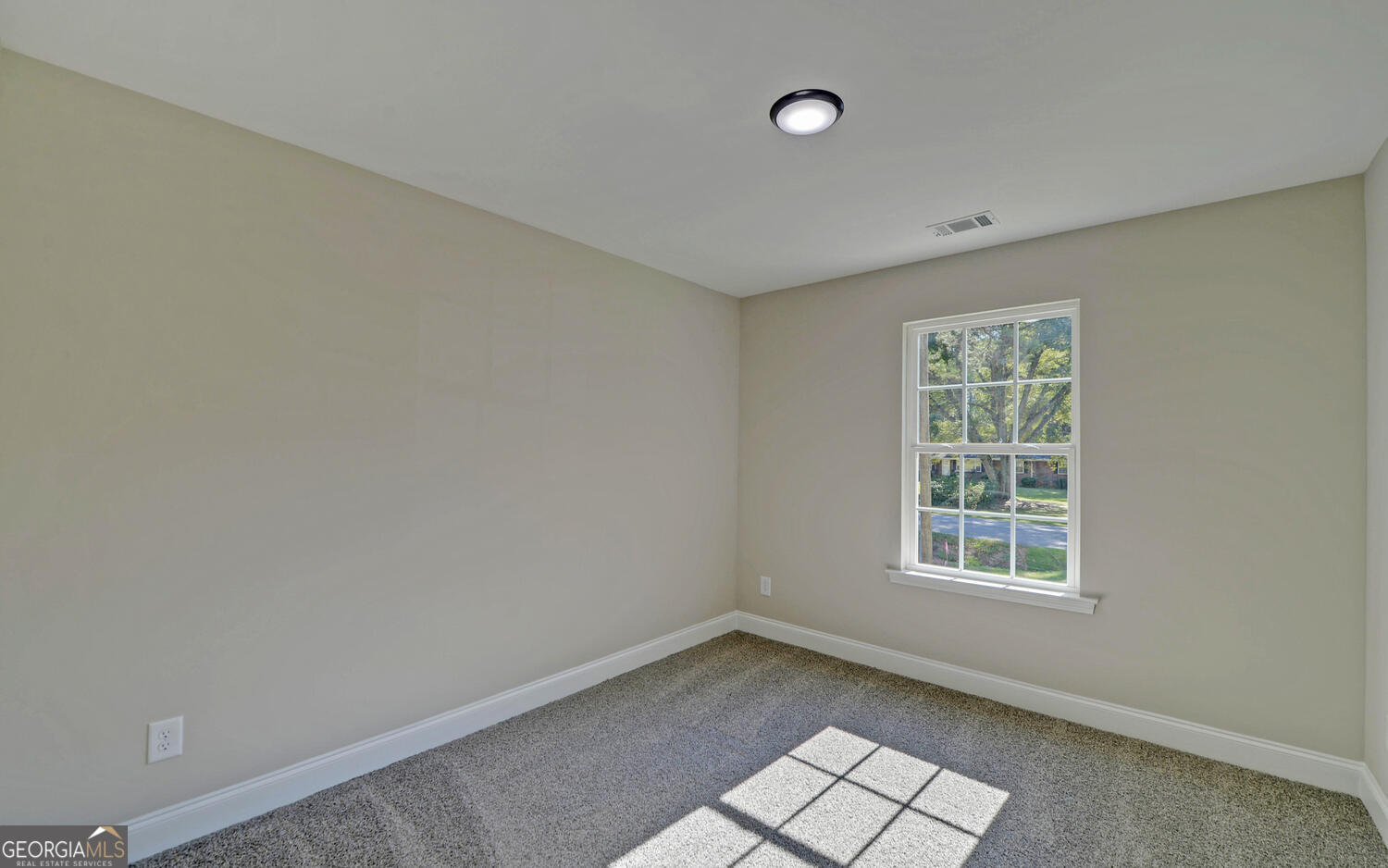 2994 Cannon Bridge Road Property Photo 20