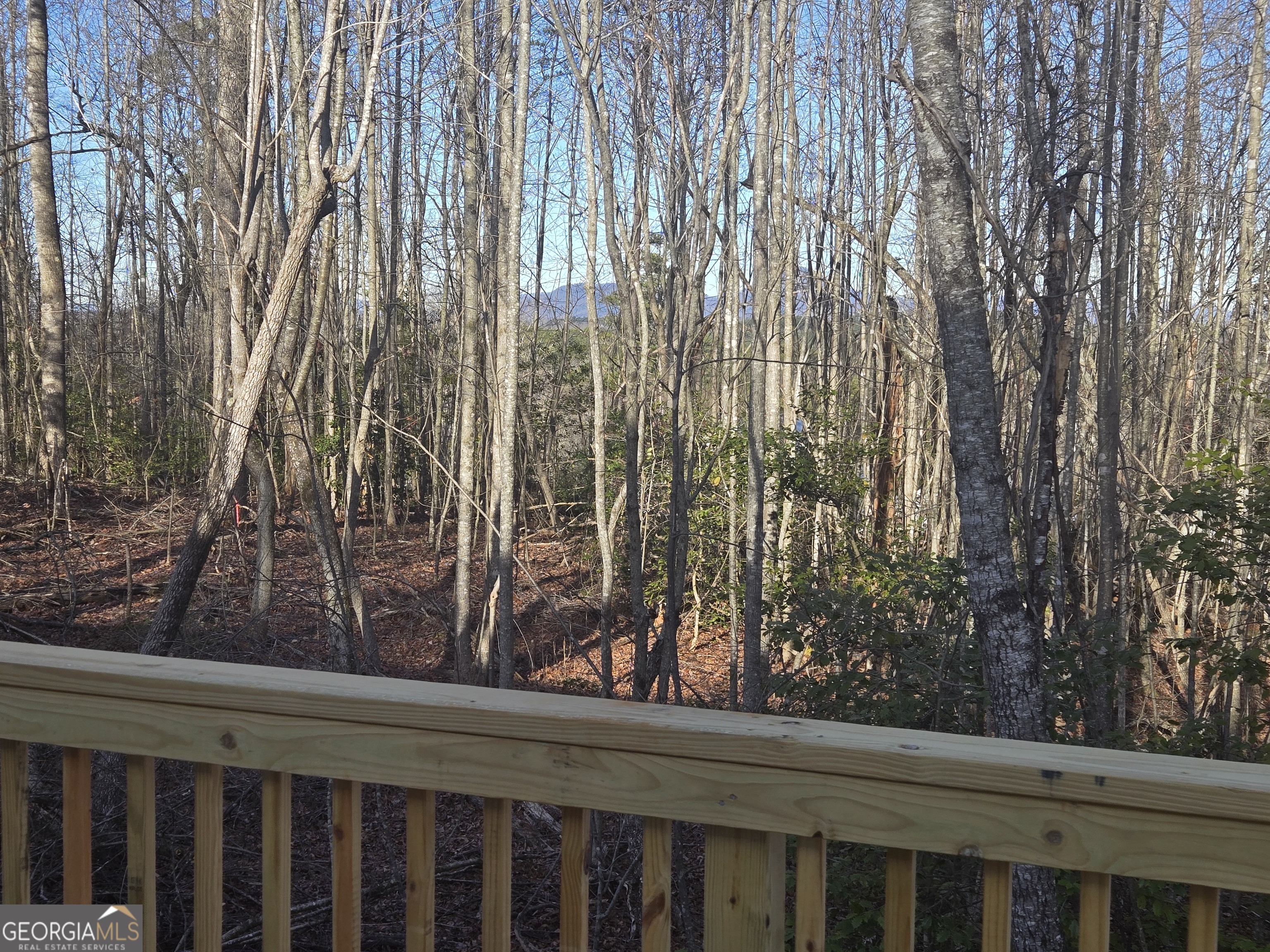 2994 Cannon Bridge Road Property Photo 32