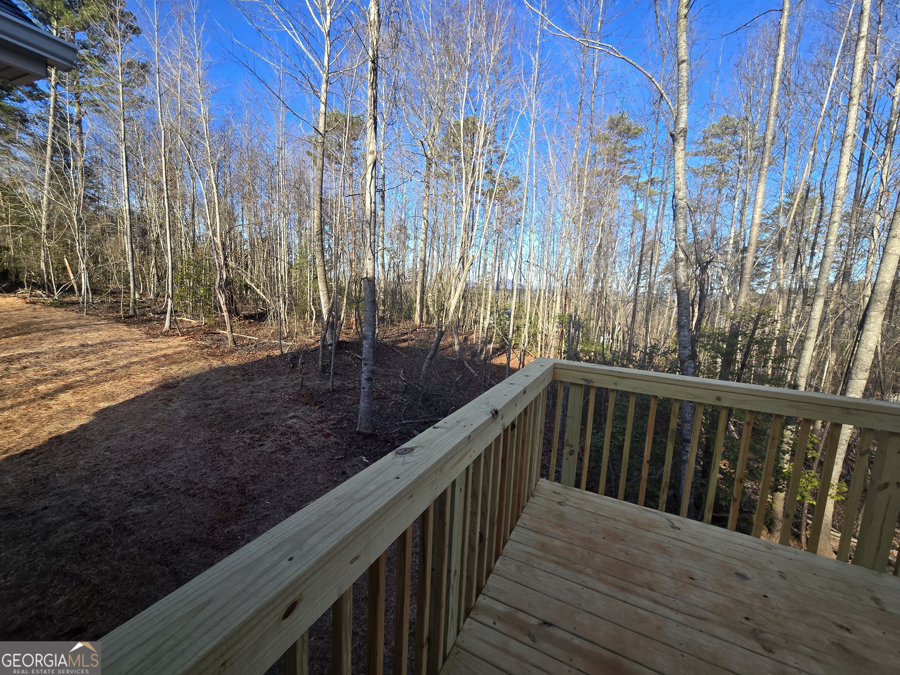 2994 Cannon Bridge Road Property Photo 33