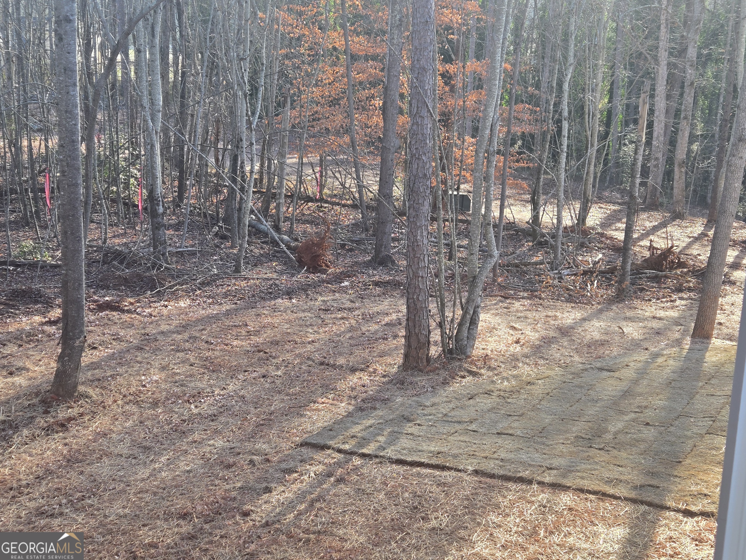 2994 Cannon Bridge Road Property Photo 35