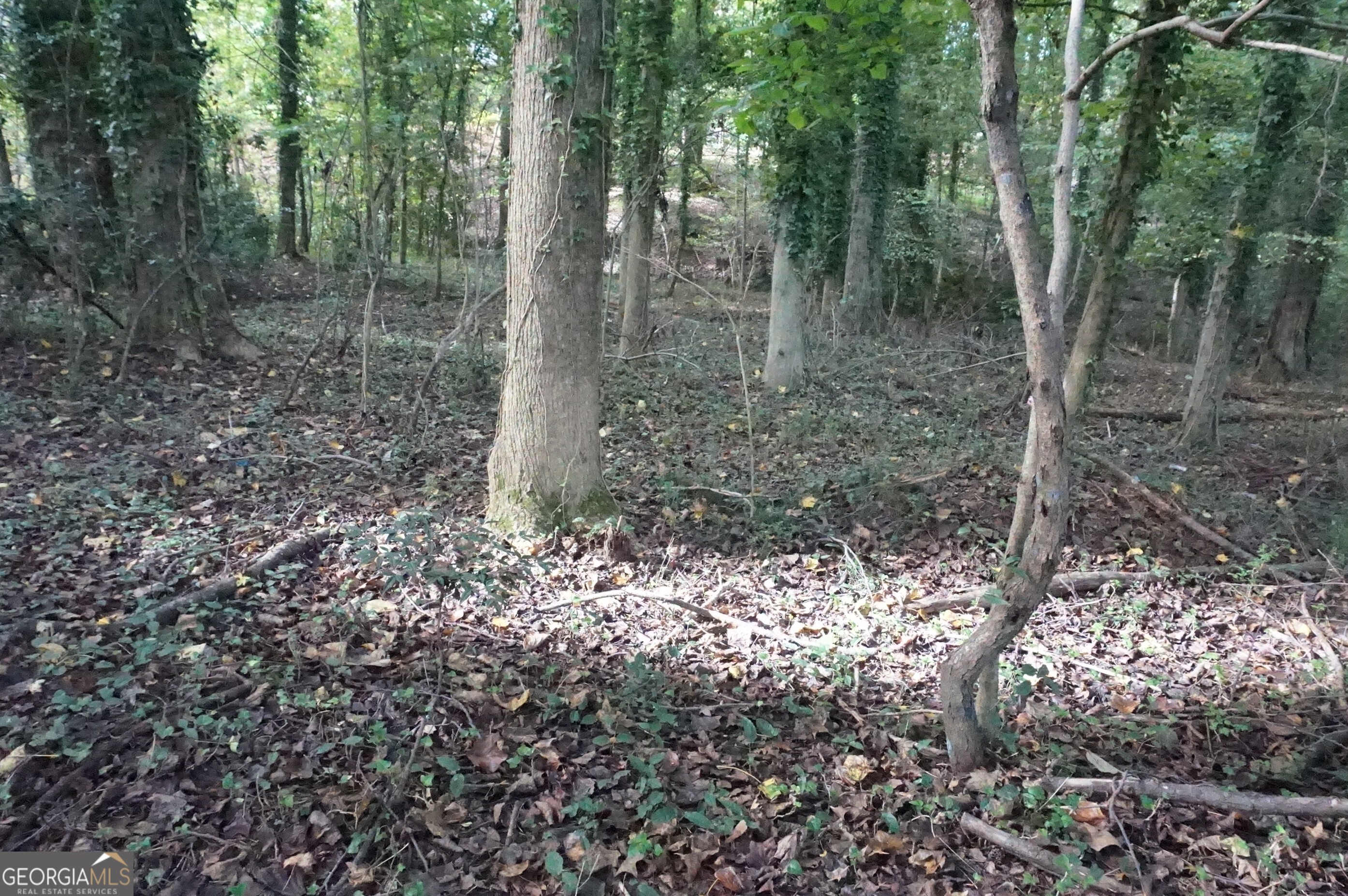 Lot 6 Pine Valley Drive Property Photo 1