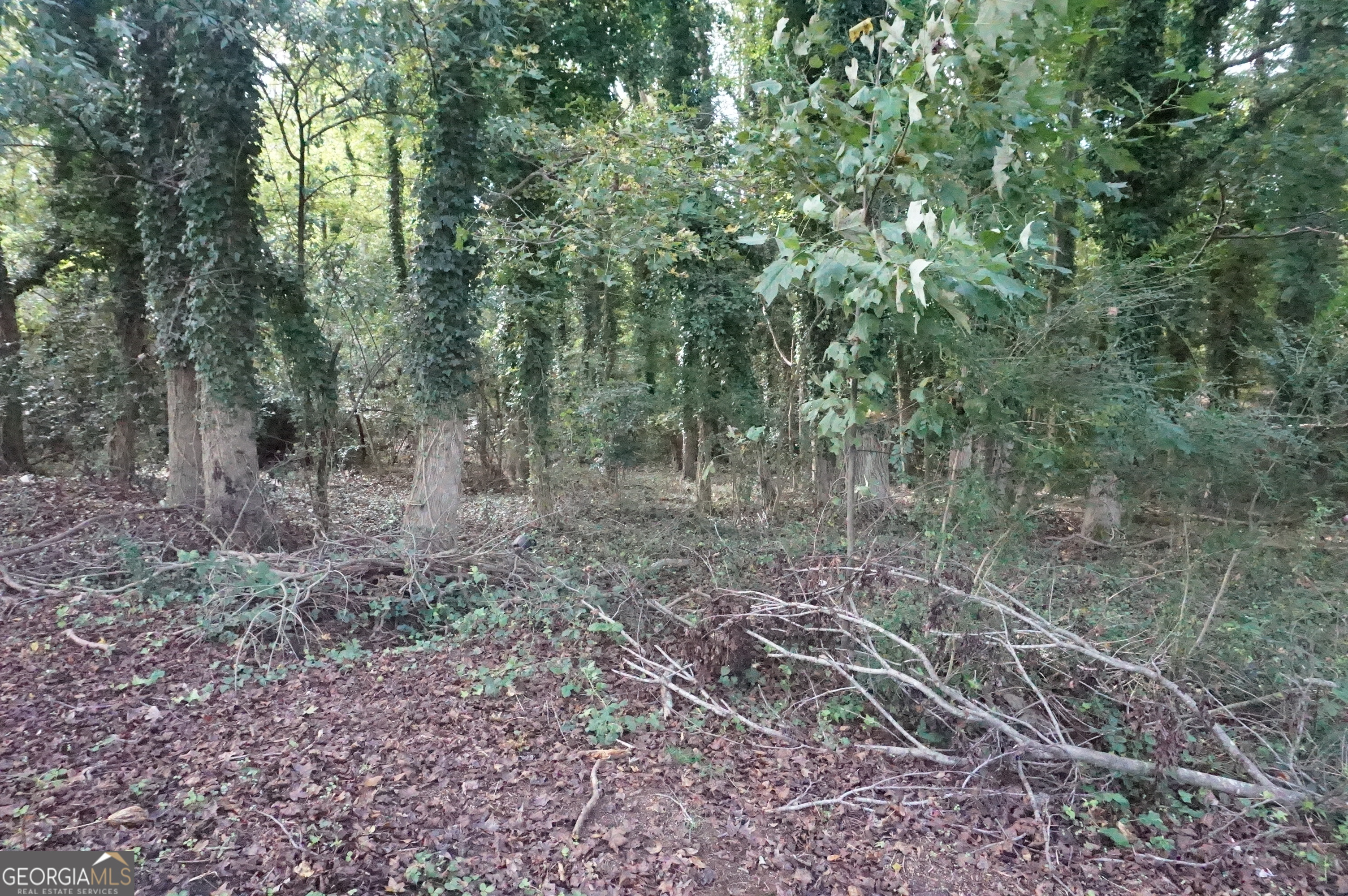 Lot 6 Pine Valley Drive Property Photo 3