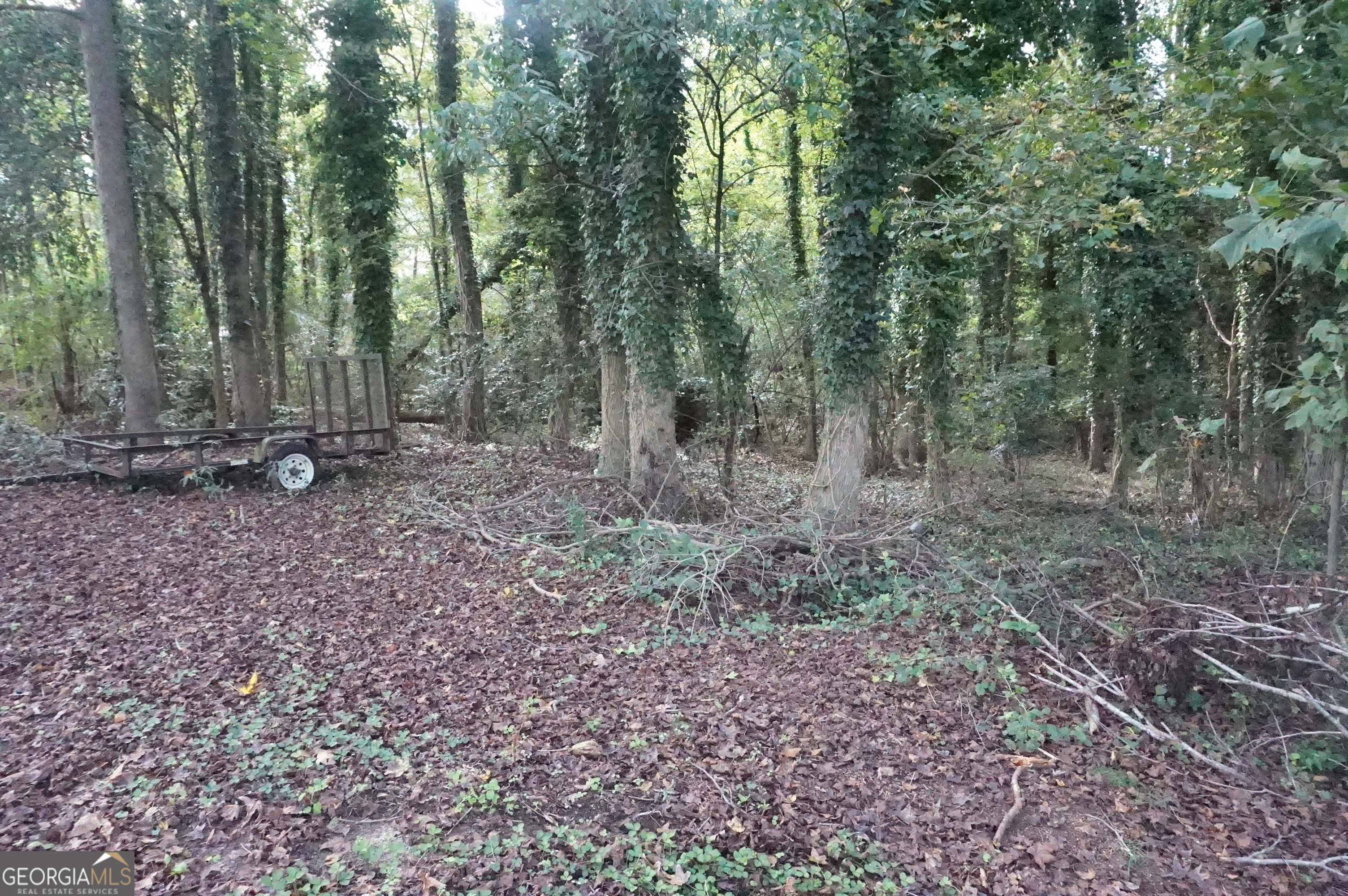 Lot 6 Pine Valley Drive Property Photo 4