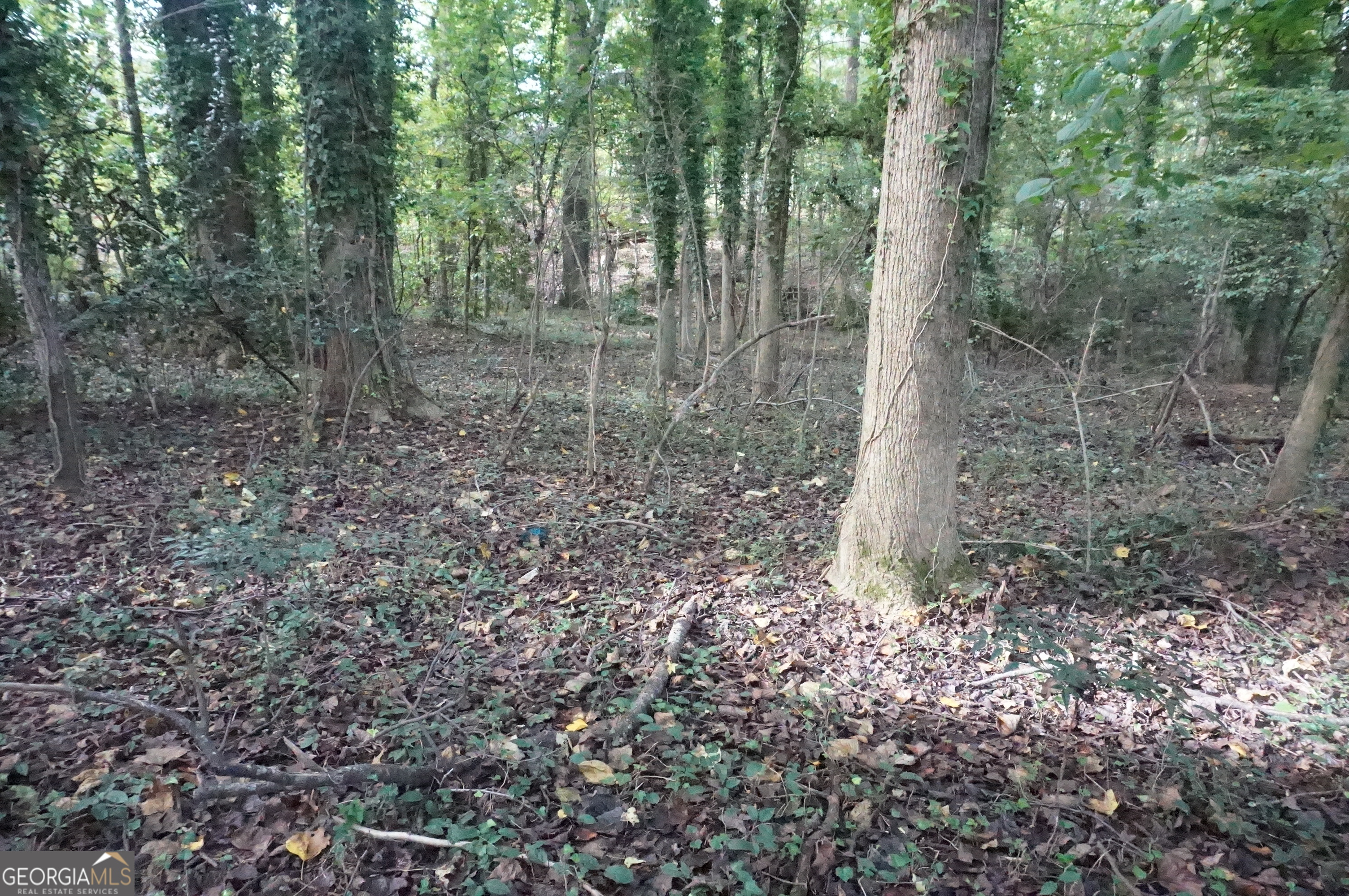 Lot 6 Pine Valley Drive Property Photo 7