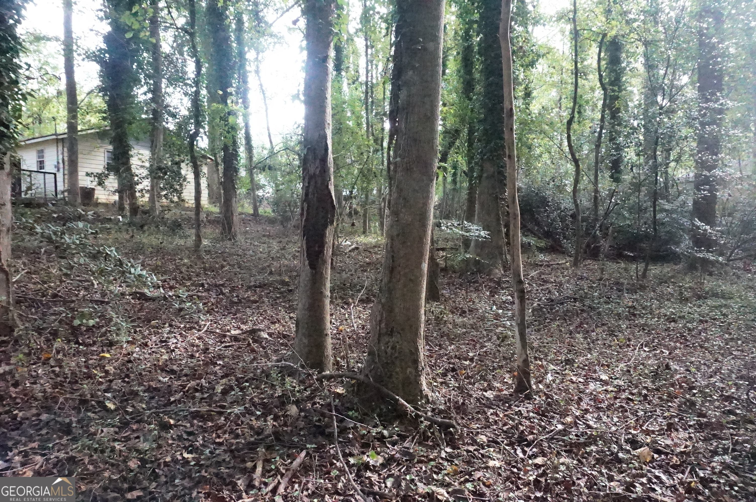 Lot 6 Pine Valley Drive Property Photo 8