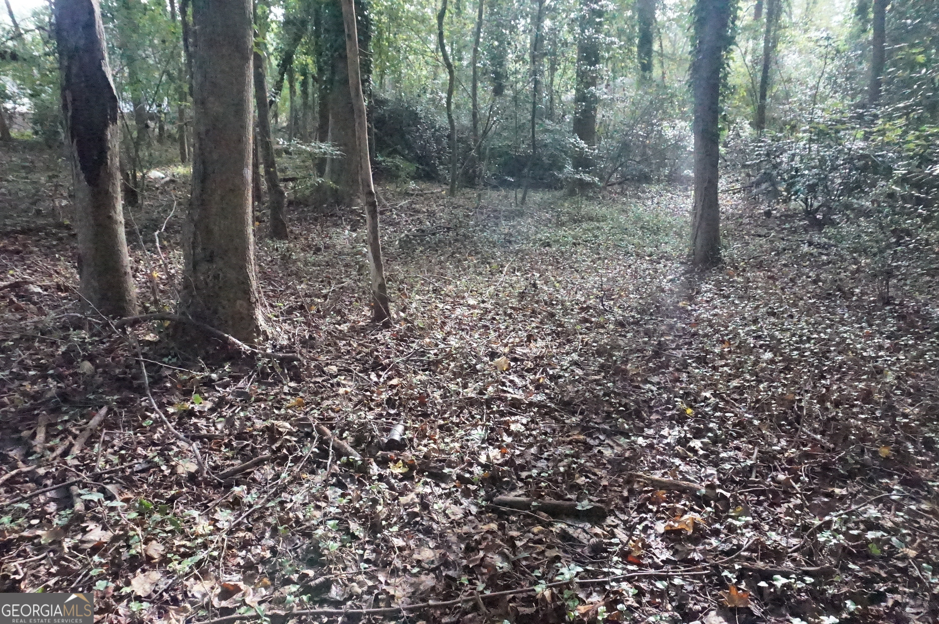 Lot 6 Pine Valley Drive Property Photo 9
