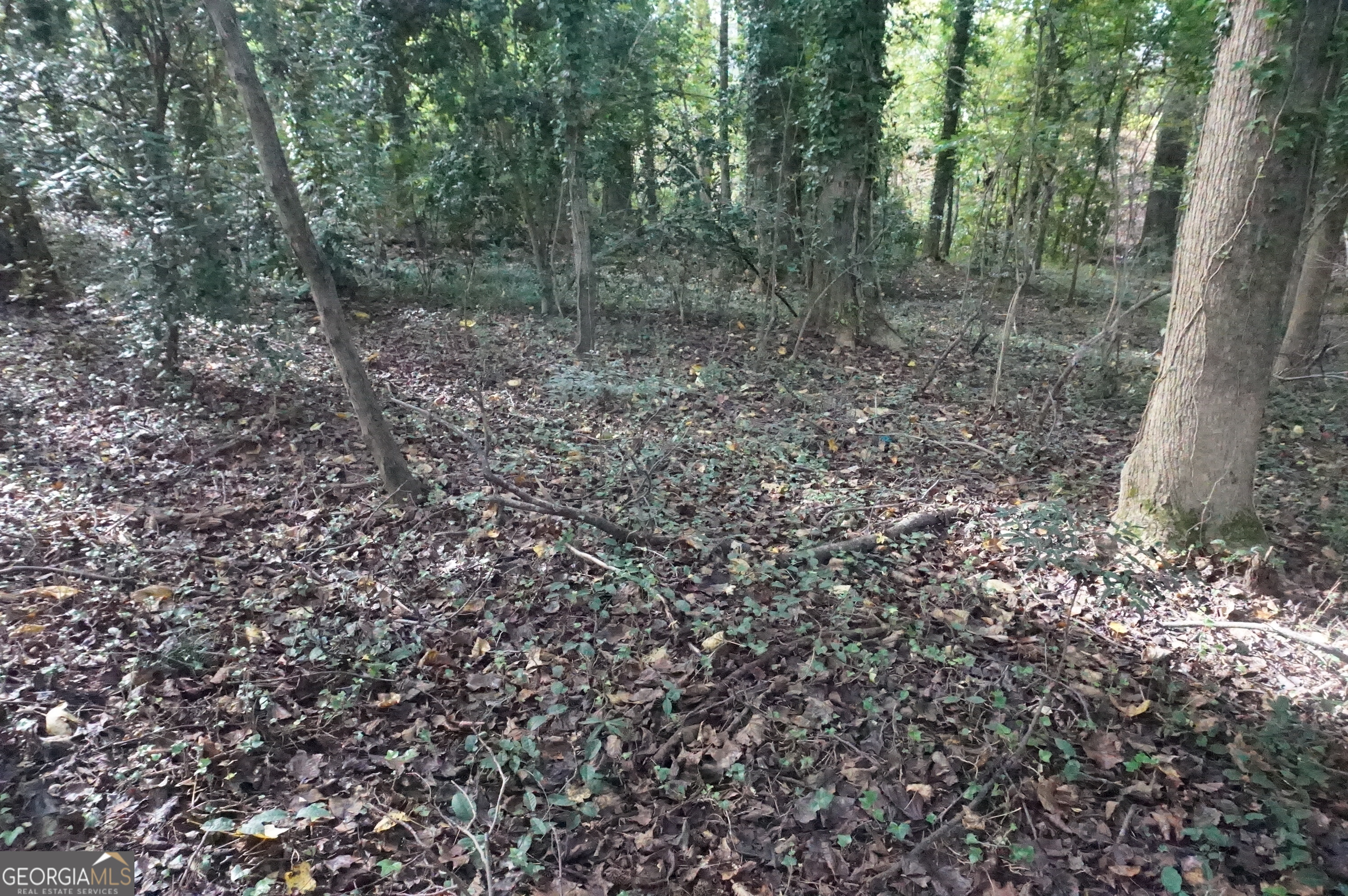Lot 6 Pine Valley Drive Property Photo 10