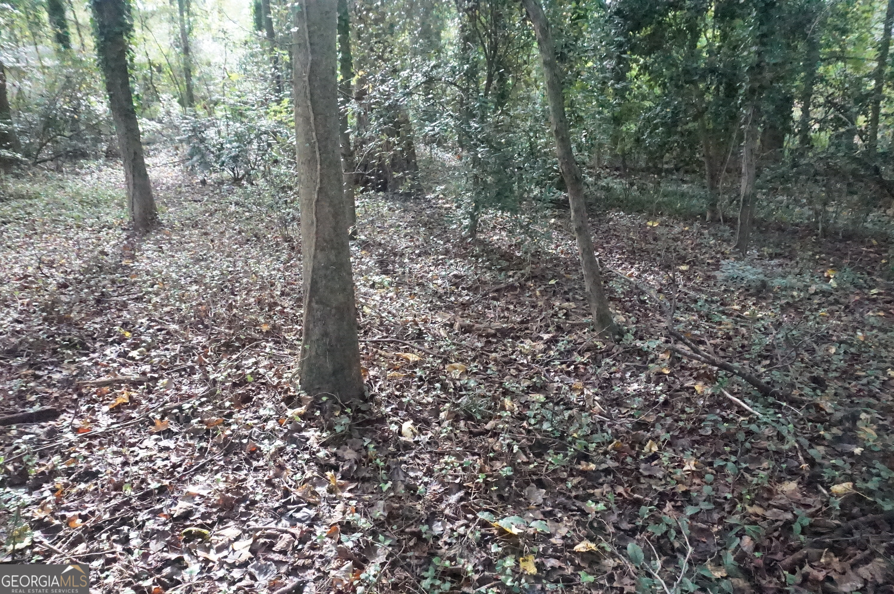 Lot 6 Pine Valley Drive Property Photo 11