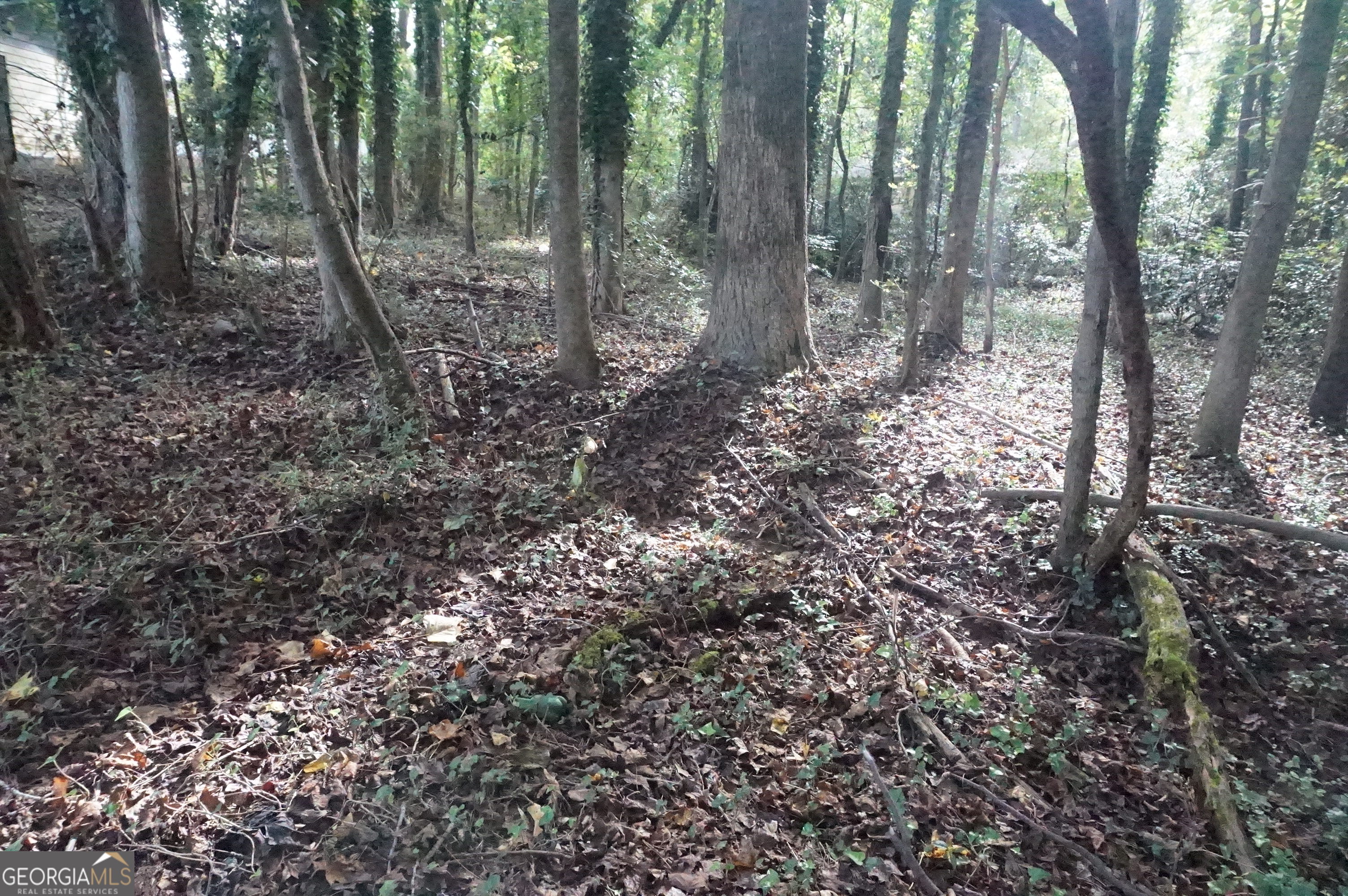 Lot 6 Pine Valley Drive Property Photo 12