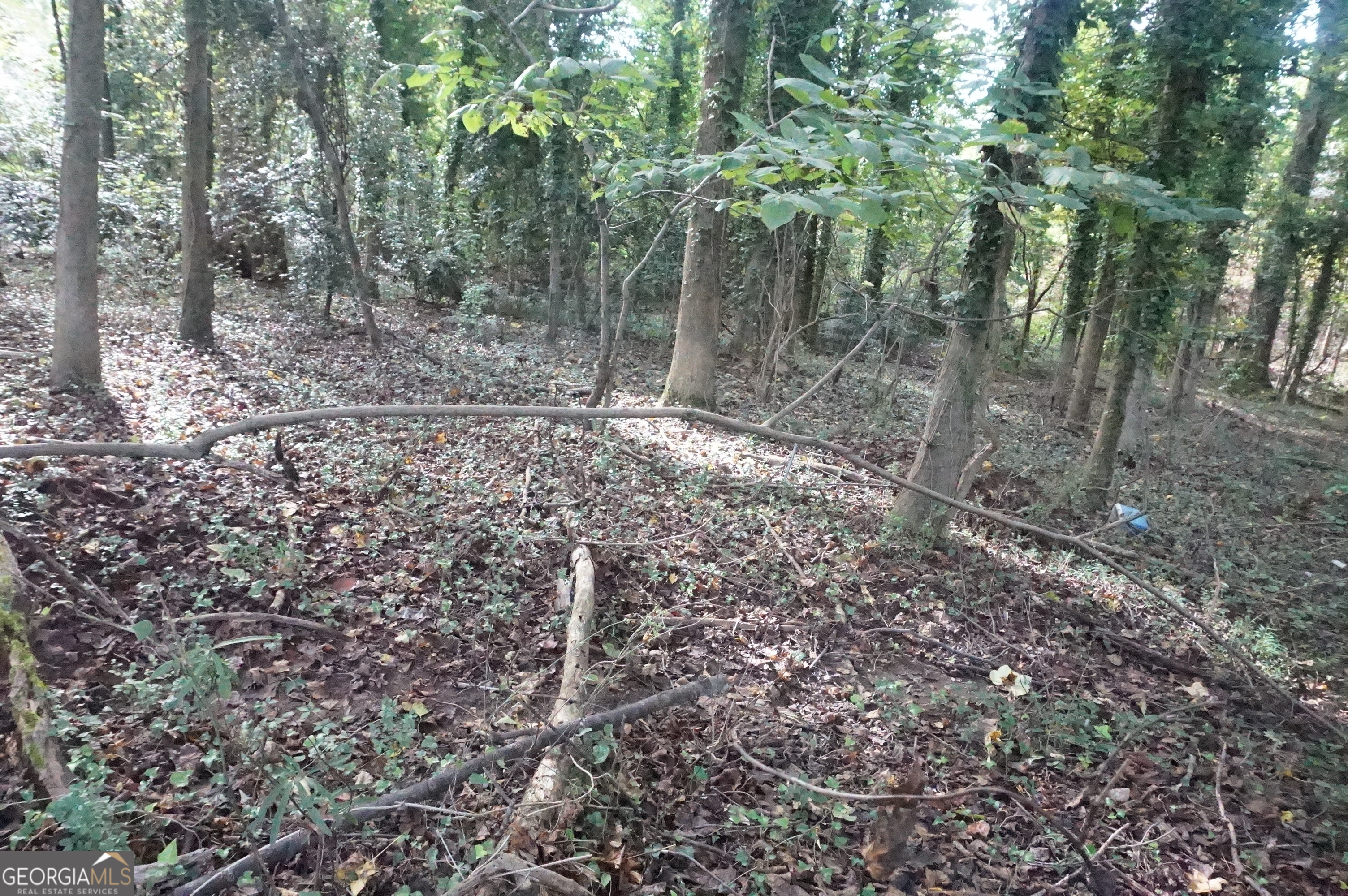 Lot 6 Pine Valley Drive Property Photo 13