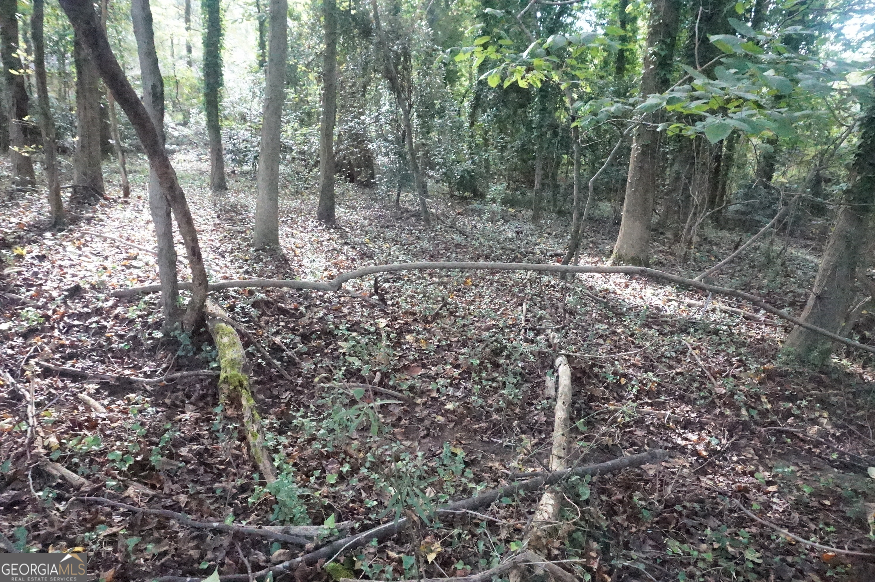Lot 6 Pine Valley Drive Property Photo 14